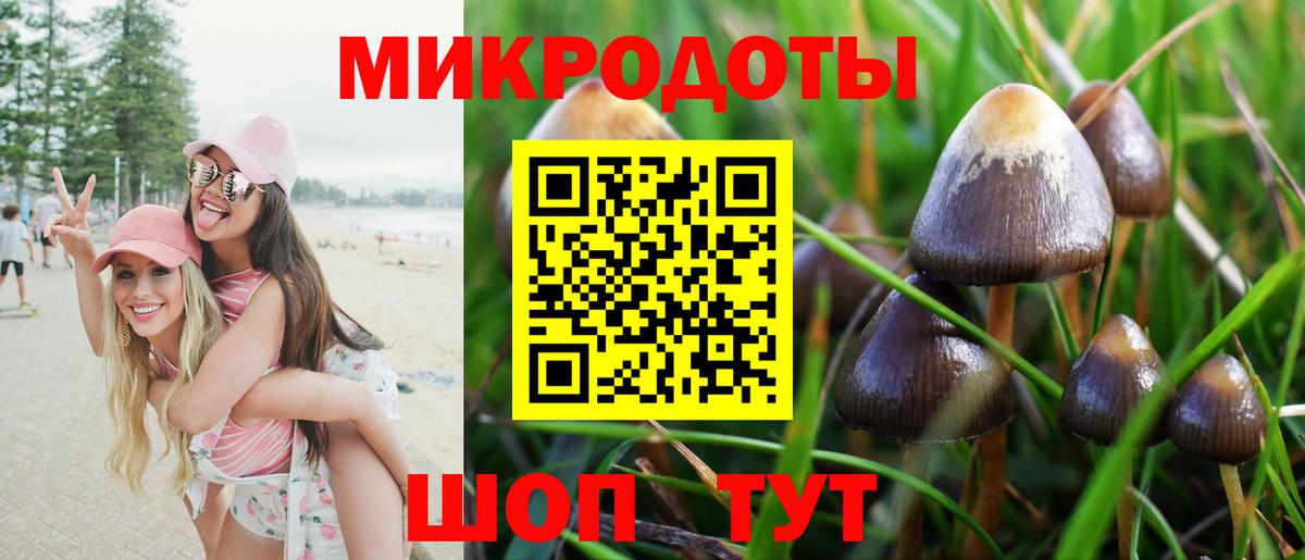 Псилоцибиновые грибы MAGIC MUSHROOMS  Вход с VPN  Балашиха 