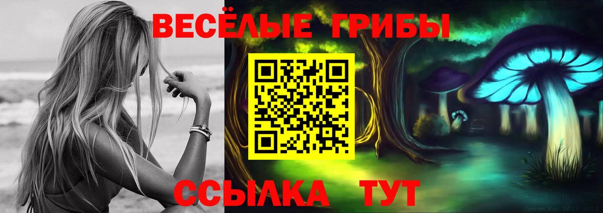 Псилоцибиновые грибы Cubensis Балашиха